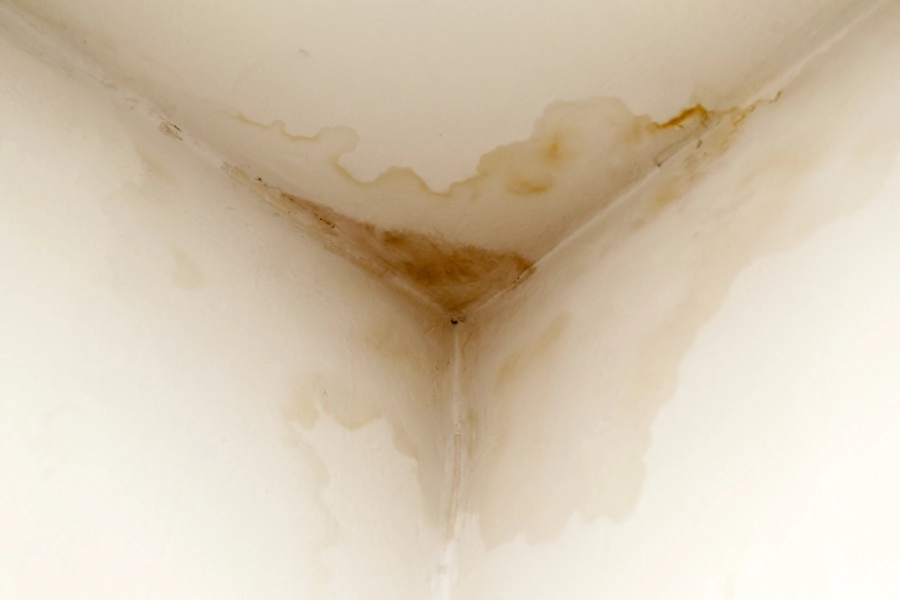 How to Prevent Water Damage in Your Home with a Handyman Gaithersburg, MD How to Prevent Water Damage in Your Home with a Handyman Gaithersburg, MD