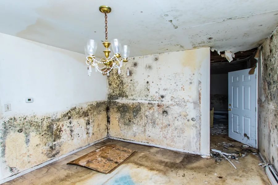 Key Steps in the Water Damage Restoration Process Gaithersburg, MD
