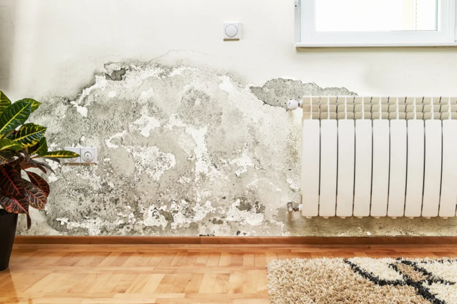 Affordable Mold Inspection Services Gaithersburg, MD