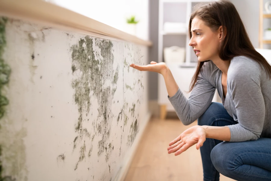 The Role of Mold Mitigation in Preventing Future Damage Gaithersburg, MD The Role of Mold Mitigation in Preventing Future Damage Gaithersburg, MD