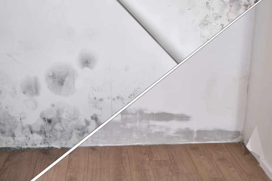What to Expect During a Mold Removal Service Gaithersburg, MD